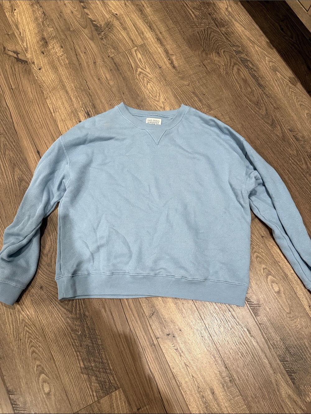 American Eagle Outfitters Light Blue Crewneck Sweatshirt